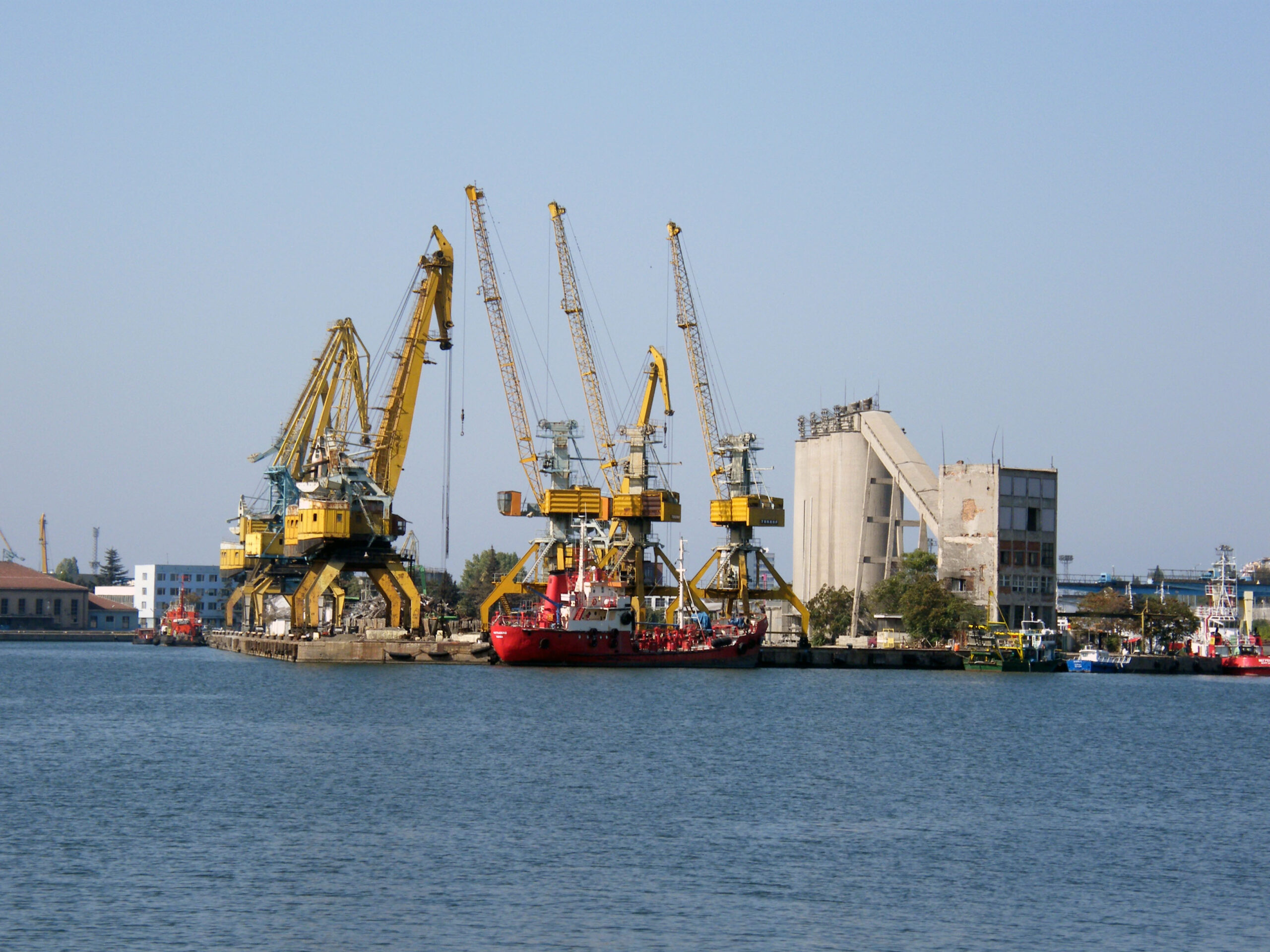 picture 168 1 scaled